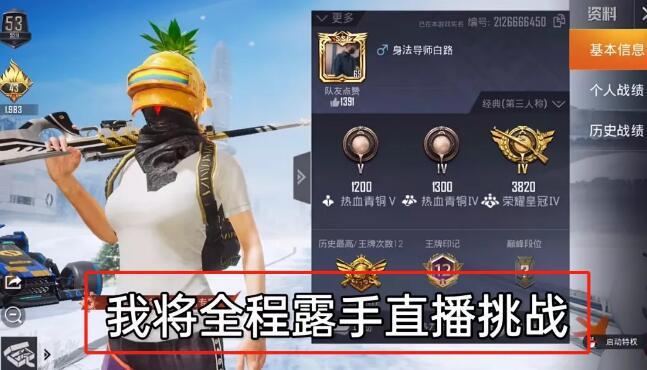 和平精英内核辅助【ADC手搓内核】无后座力 人物穿墙 人物加速 人物飞天 锁头自瞄